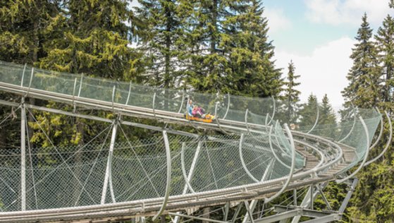 Amusement park – bobsleigh on the rails, zip line and tubing